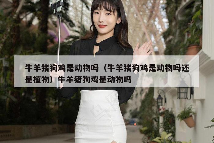 牛羊猪狗鸡是动物吗(牛羊猪狗鸡是动物吗还是植物)牛羊猪狗鸡是动物吗